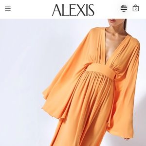 Alexis Caftan Dress NWT